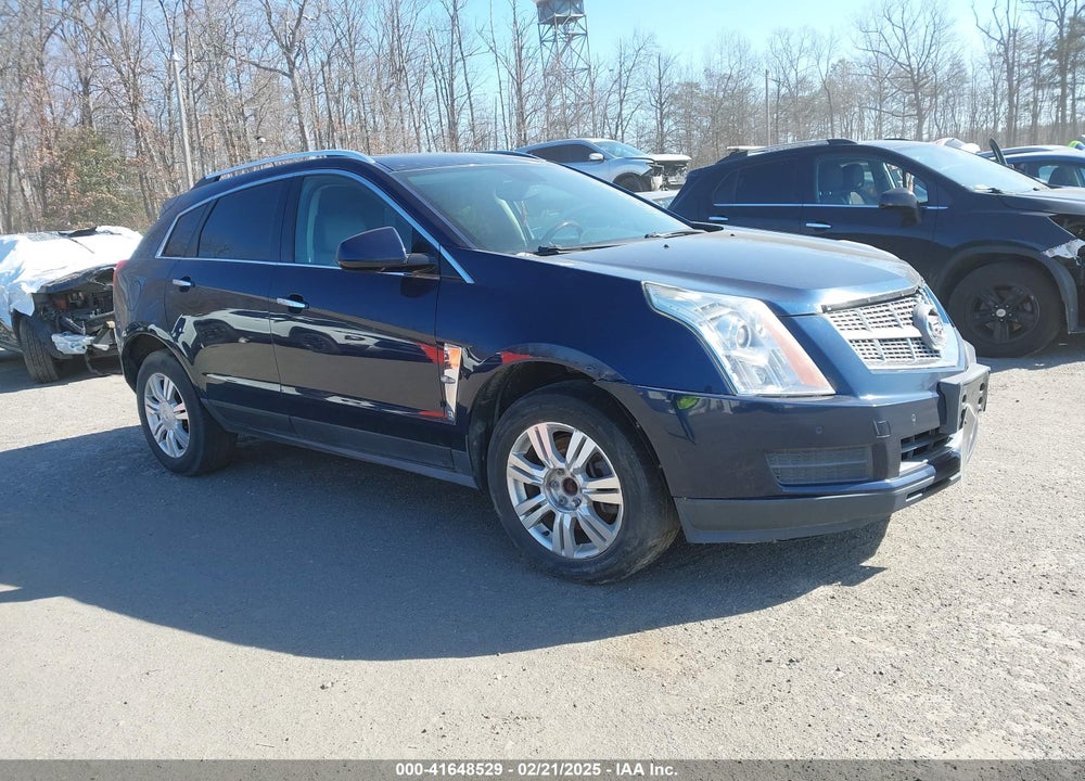 2010 CADILLAC SRX LUXURY COLLECTION VIN: 3GYFNAEY8AS554942