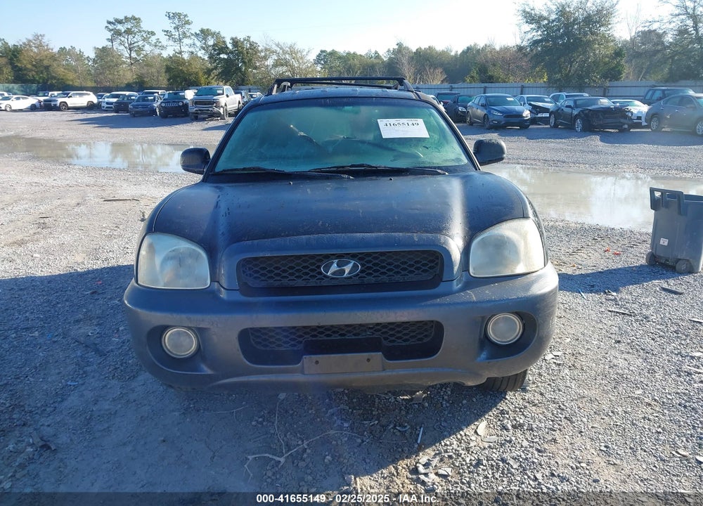 2003 HYUNDAI SANTA FE GLS/LX VIN: KM8SC73D43U447687