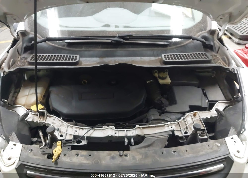 2014 FORD ESCAPE VIN: 1FMCU9G97EUC60367