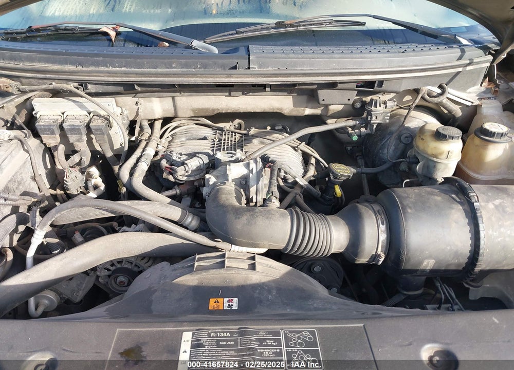 2006 FORD F150 VIN: 1FTRF12216NA05410