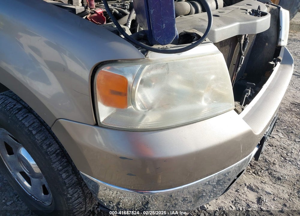 2006 FORD F150 VIN: 1FTRF12216NA05410