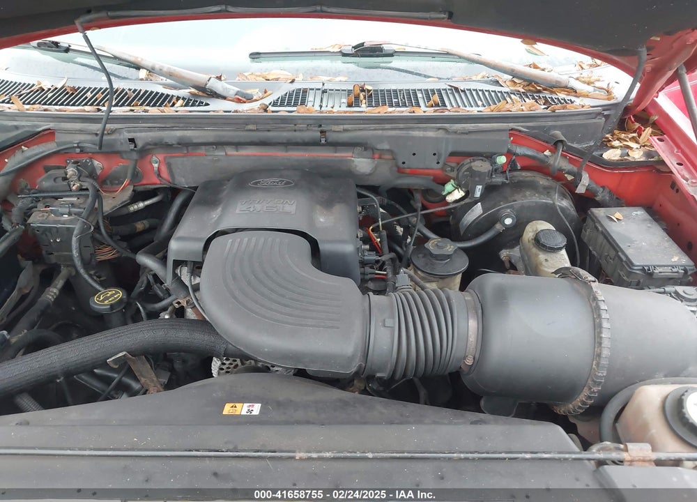 2002 FORD F-150 LARIAT/XL/XLT VIN: 1FTRX17W72KB04625