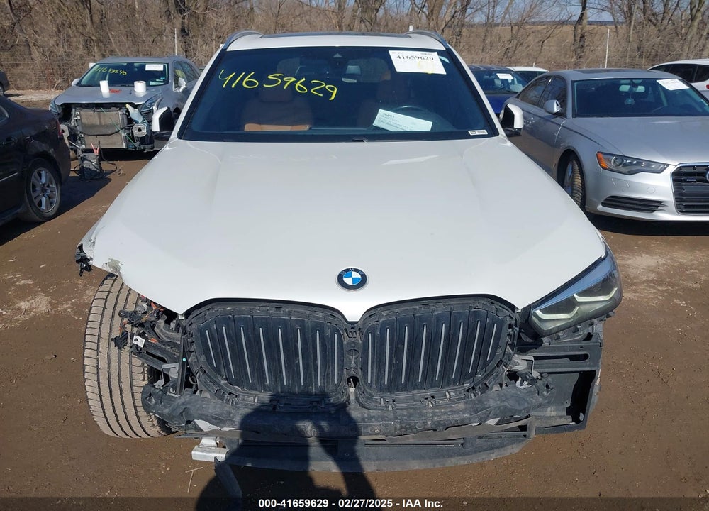 2019 BMW X5 VIN: 5UXCR6C53KLL12164