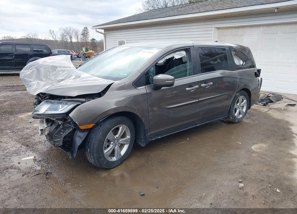 2019 HONDA ODYSSEY VIN: 5FNRL6H50KB097304