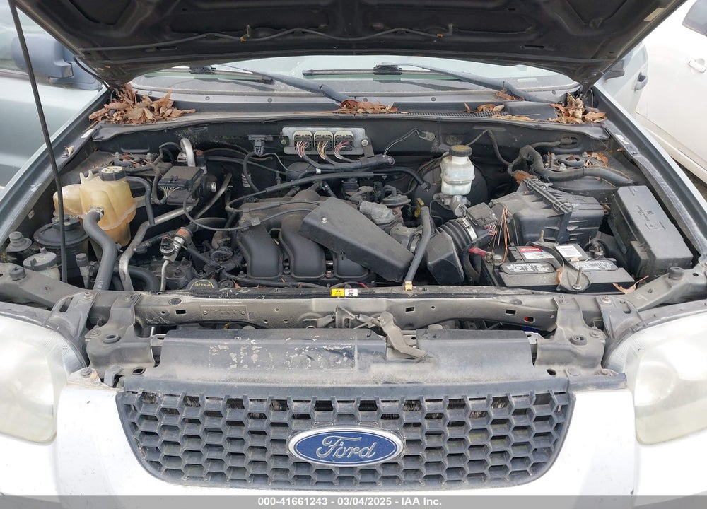 2007 FORD ESCAPE XLT/XLT SPORT VIN: 1FMYU03157KA67702