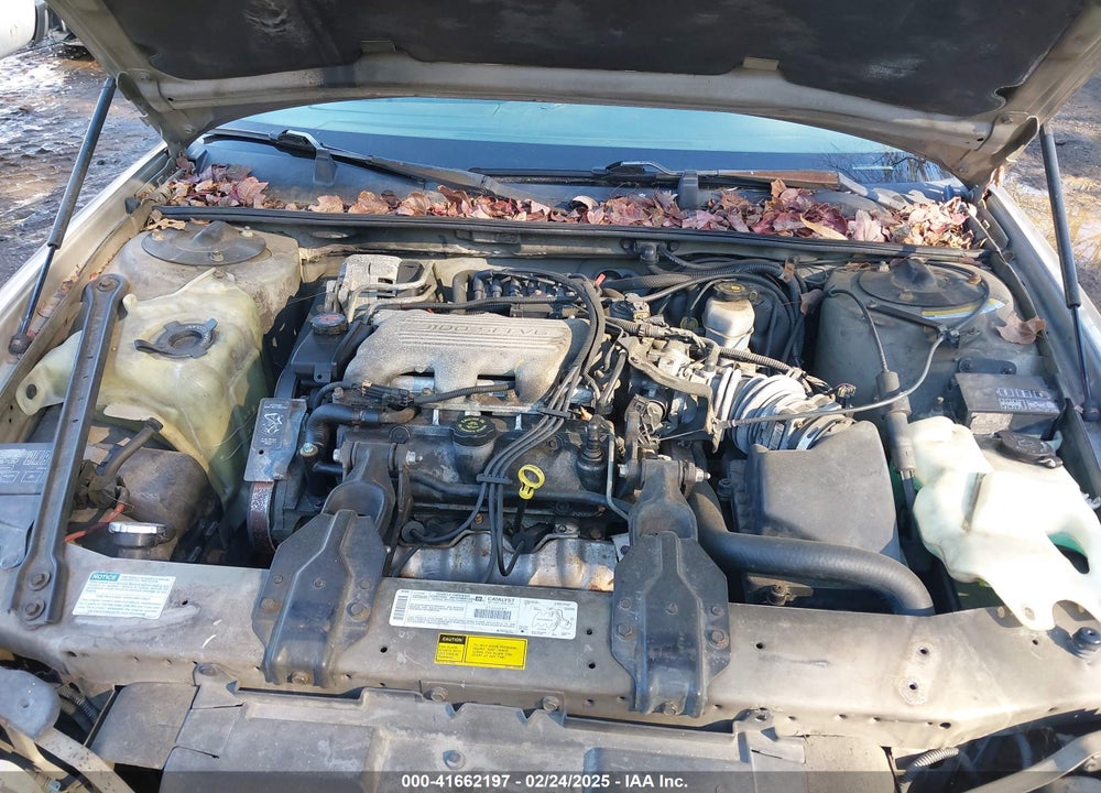 1999 CHEVROLET LUMINA VIN: 2G1WL52M5X9111019