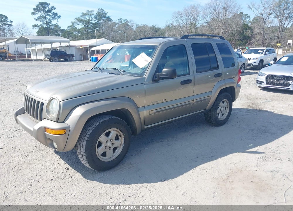 2003 JEEP LIBERTY LIMITED EDITION VIN: 1J4GL58K13W707466