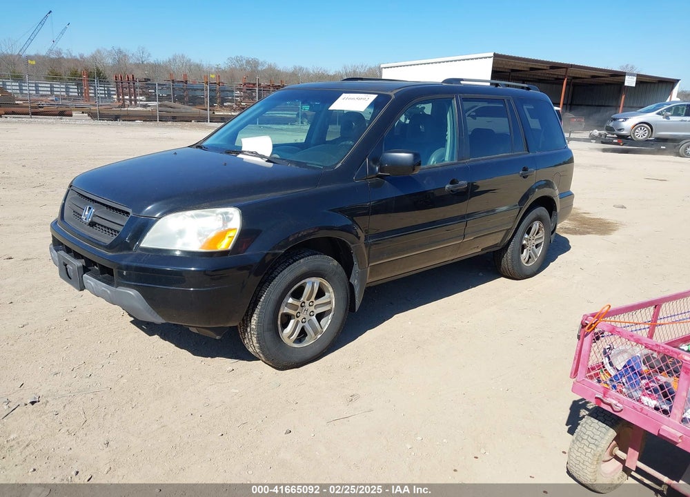 2005 HONDA PILOT EX-L VIN: 5FNYF185X5B016318