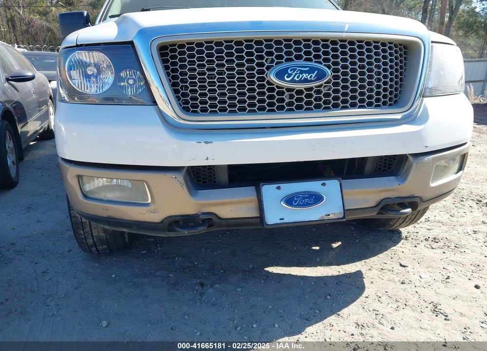 2004 FORD F-150 VIN: 1FTPX14504NB94432