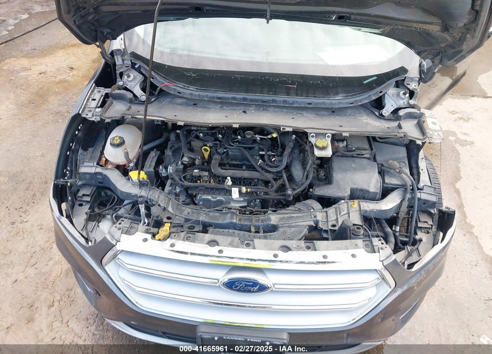 2019 FORD ESCAPE VIN: 1FMCU9GD4KUC36916