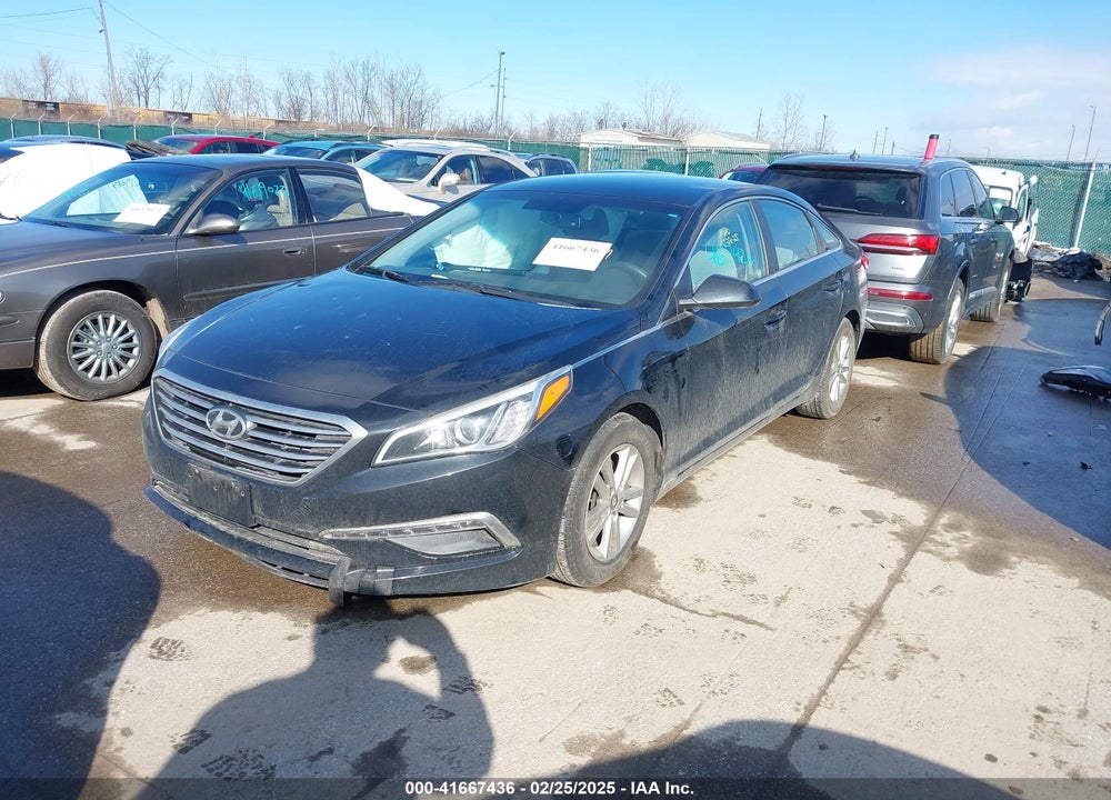 2015 HYUNDAI SONATA VIN: 5NPE24AF6FH241115