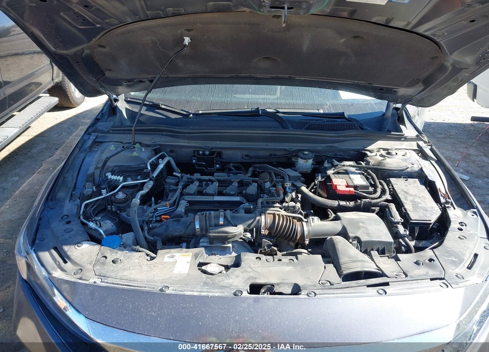 2019 HONDA ACCORD VIN: 1HGCV1F16KA038741