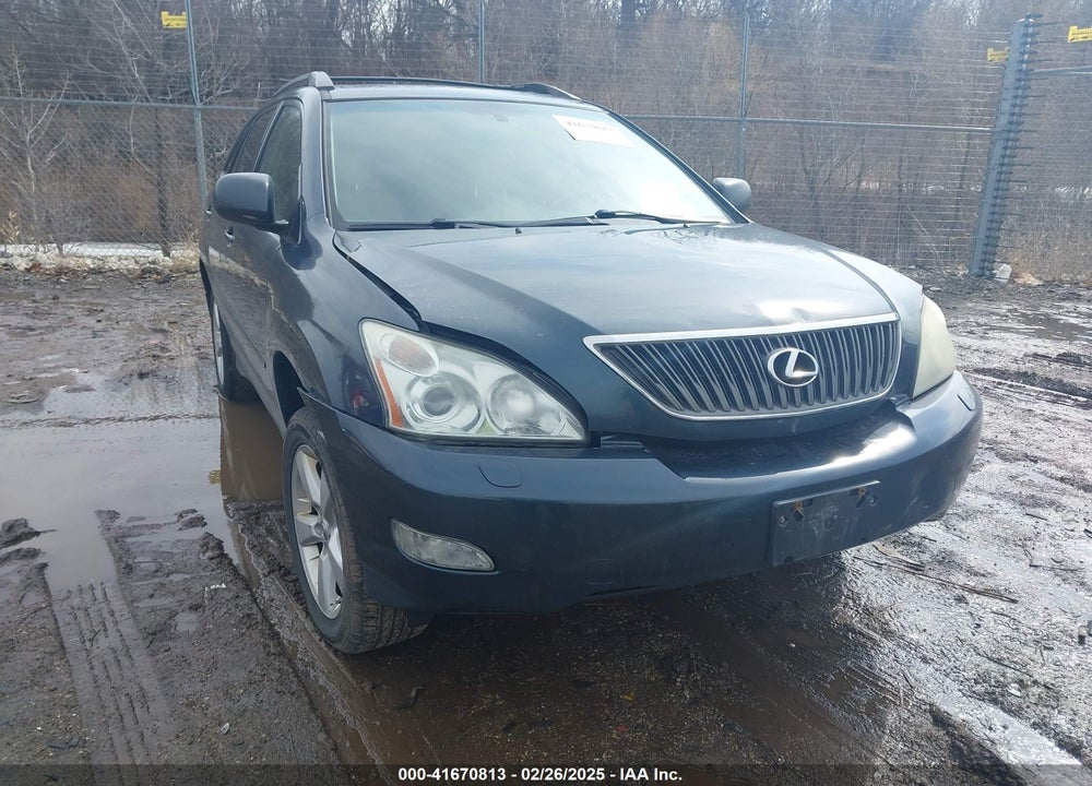 2004 LEXUS RX 330 VIN: 2T2HA31U84C017249