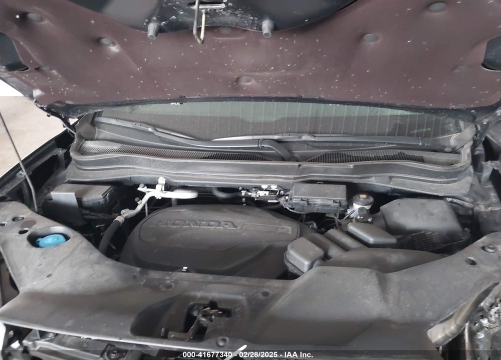 2024 HONDA PASSPORT VIN: 5FNYF8H5XRB006130
