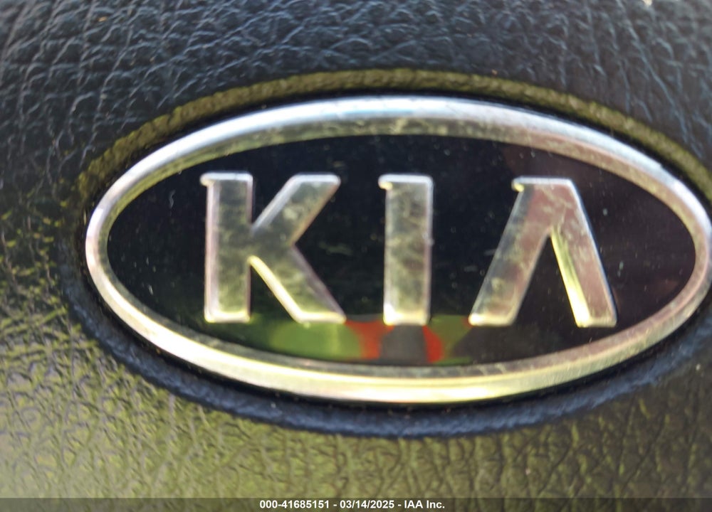 2011 KIA SORENTO VIN: 5XYKT3A10BG124386