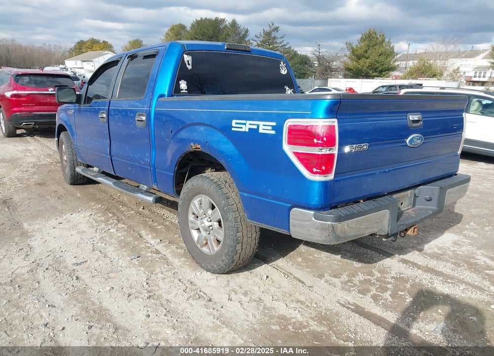 2009 FORD F-150 VIN: 1FTRW12869FA40558