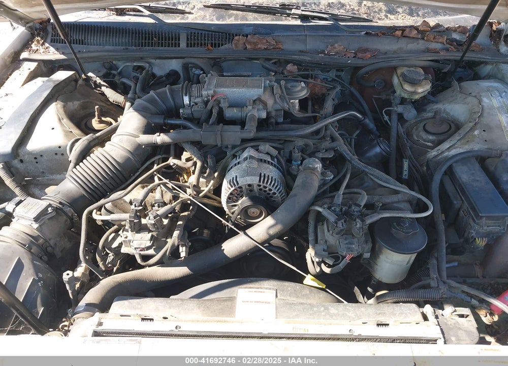 1996 FORD THUNDERBIRD LX VIN: 1FALP62W3TH135238