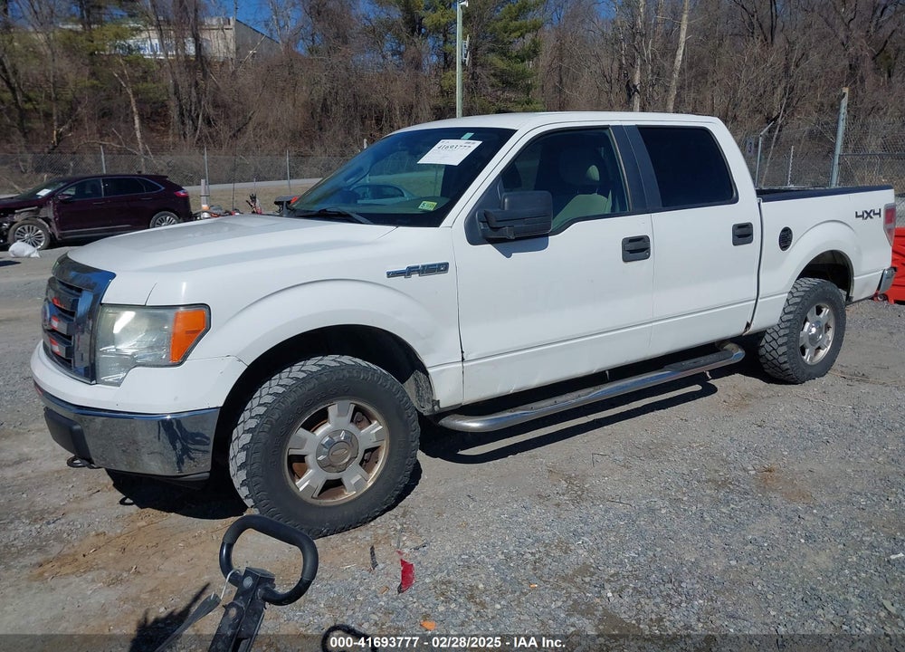 2010 FORD F-150 VIN: 1FTFW1EV3AFB49746
