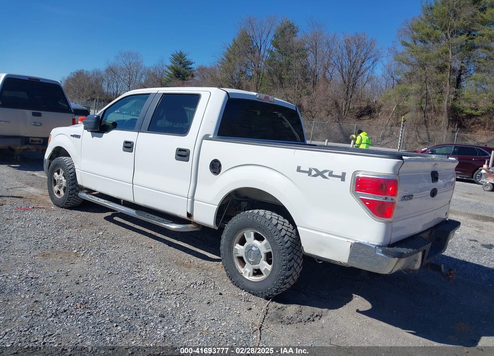2010 FORD F-150 VIN: 1FTFW1EV3AFB49746