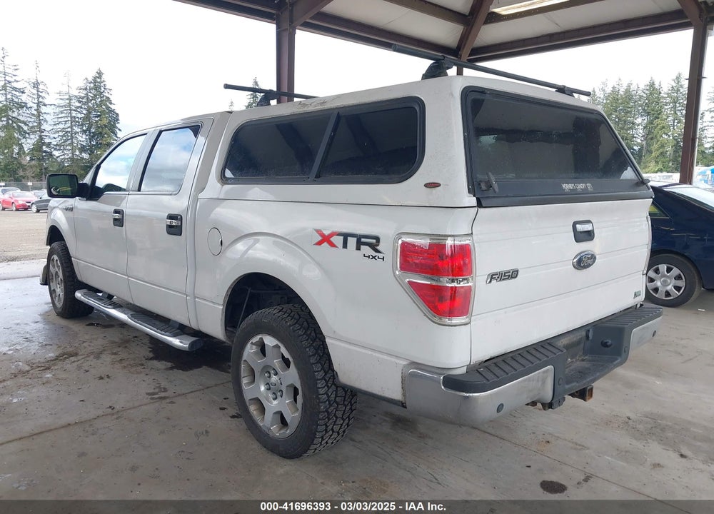 2010 FORD F-150 VIN: 1FTFW1EV0AFD27483