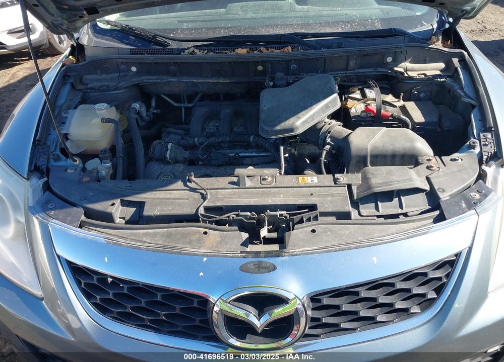 2010 MAZDA CX-9 VIN: JM3TB3MV7A0213504