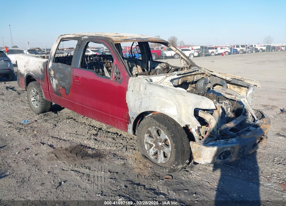 2013 FORD F-150 FX4 VIN: 1FTFW1EF1DKD64367