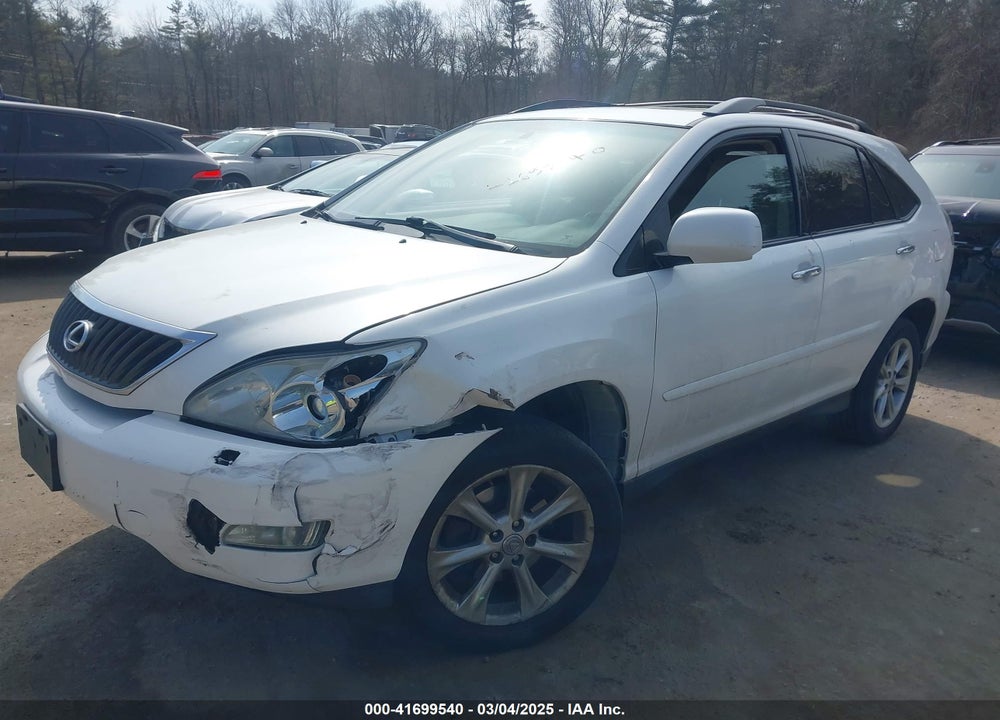 2009 LEXUS RX 350 VIN: 2T2HK31U19C106245