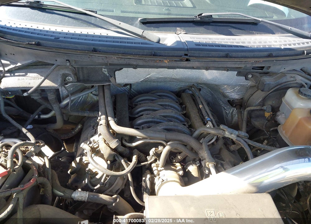 2012 FORD F-150 VIN: 1FTFW1EF0CFA10315