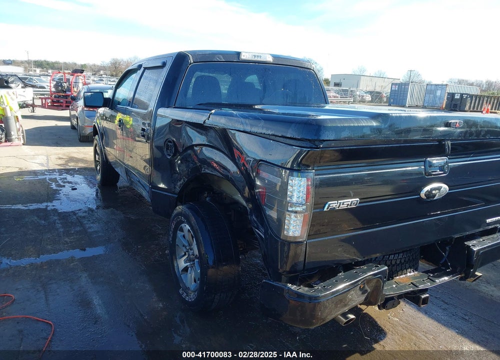 2012 FORD F-150 VIN: 1FTFW1EF0CFA10315