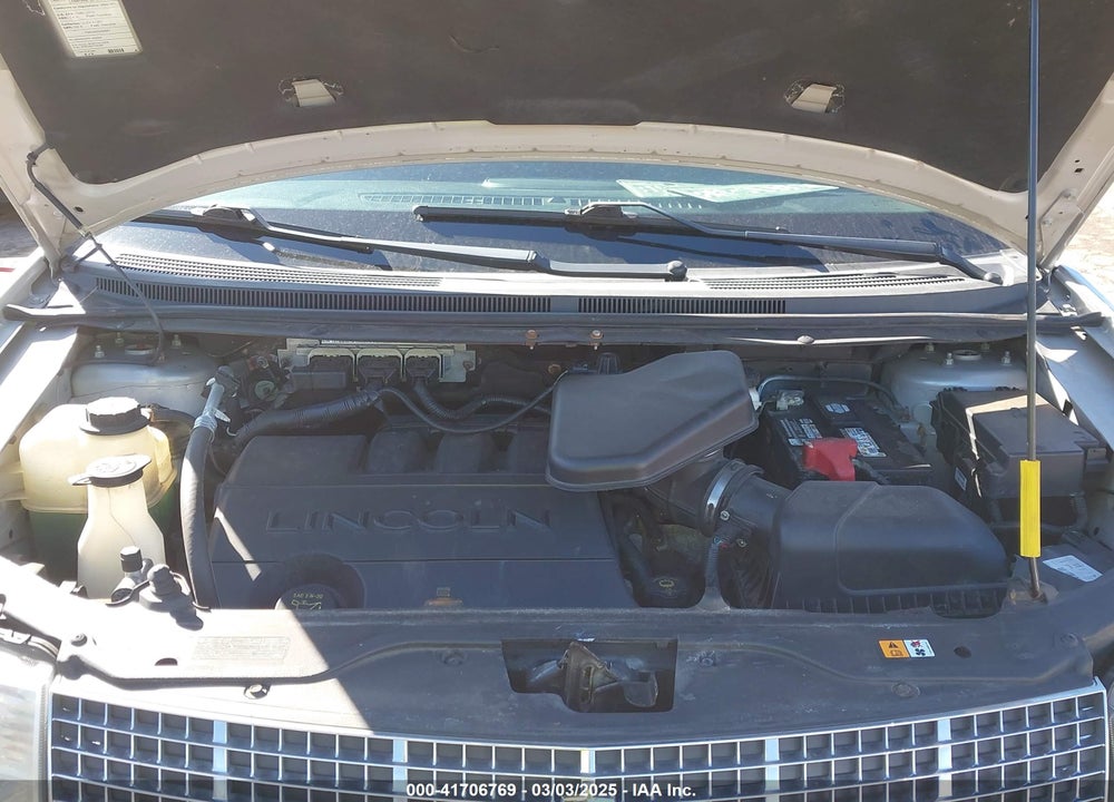 2009 LINCOLN MKX VIN: 2LMDU88C19BJ06021