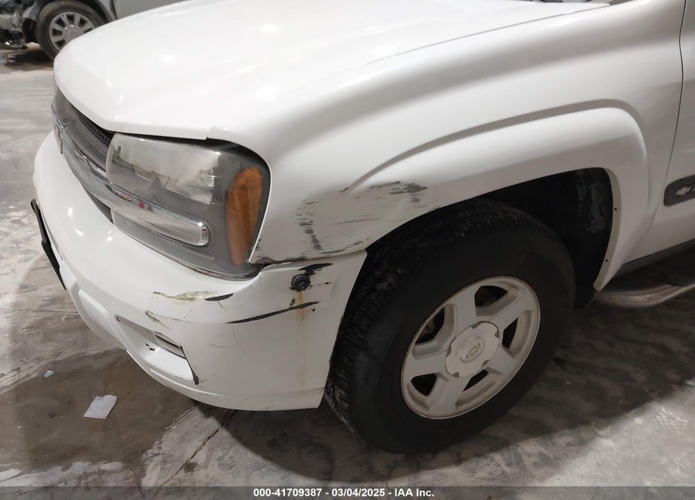 2003 CHEVROLET TRAILBLAZER LS VIN: 1GNDT13S132396158