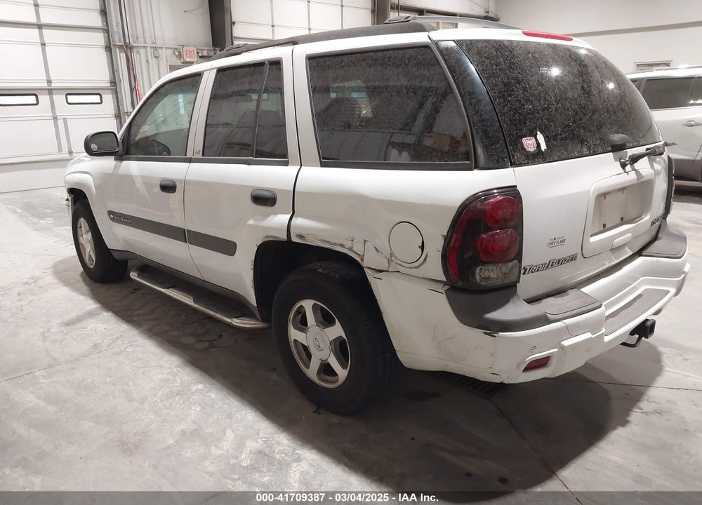 2003 CHEVROLET TRAILBLAZER LS VIN: 1GNDT13S132396158
