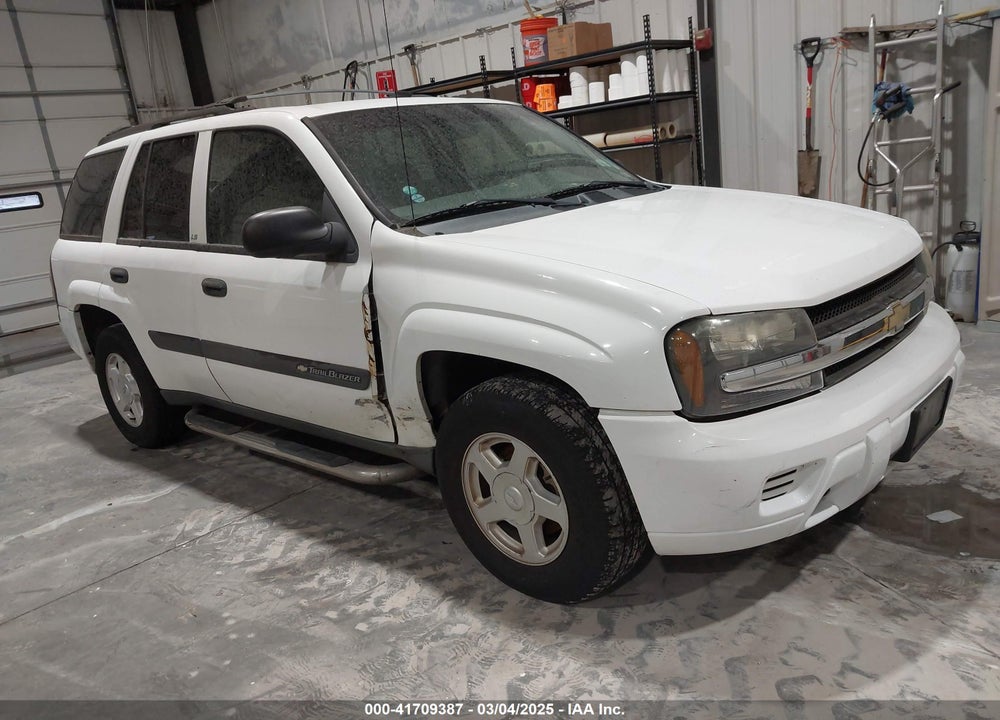 2003 CHEVROLET TRAILBLAZER LS VIN: 1GNDT13S132396158