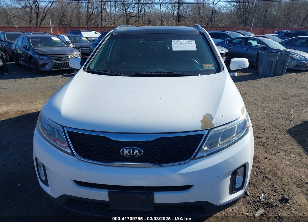 2014 KIA SORENTO VIN: 5XYKUDA73EG481900
