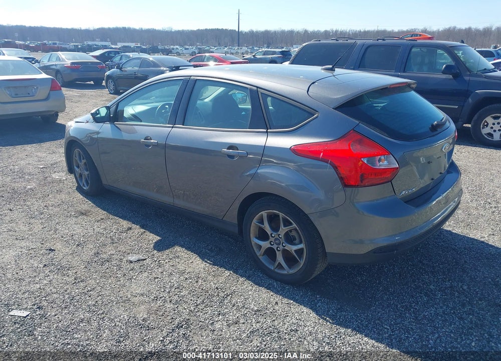 2013 FORD FOCUS VIN: 1FADP3K23DL317181