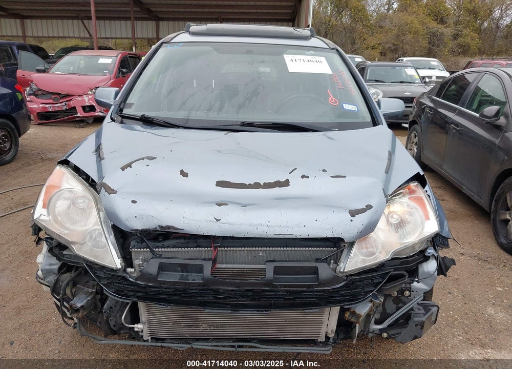 2009 HONDA CR-V EX-L VIN: JHLRE387X9C006107