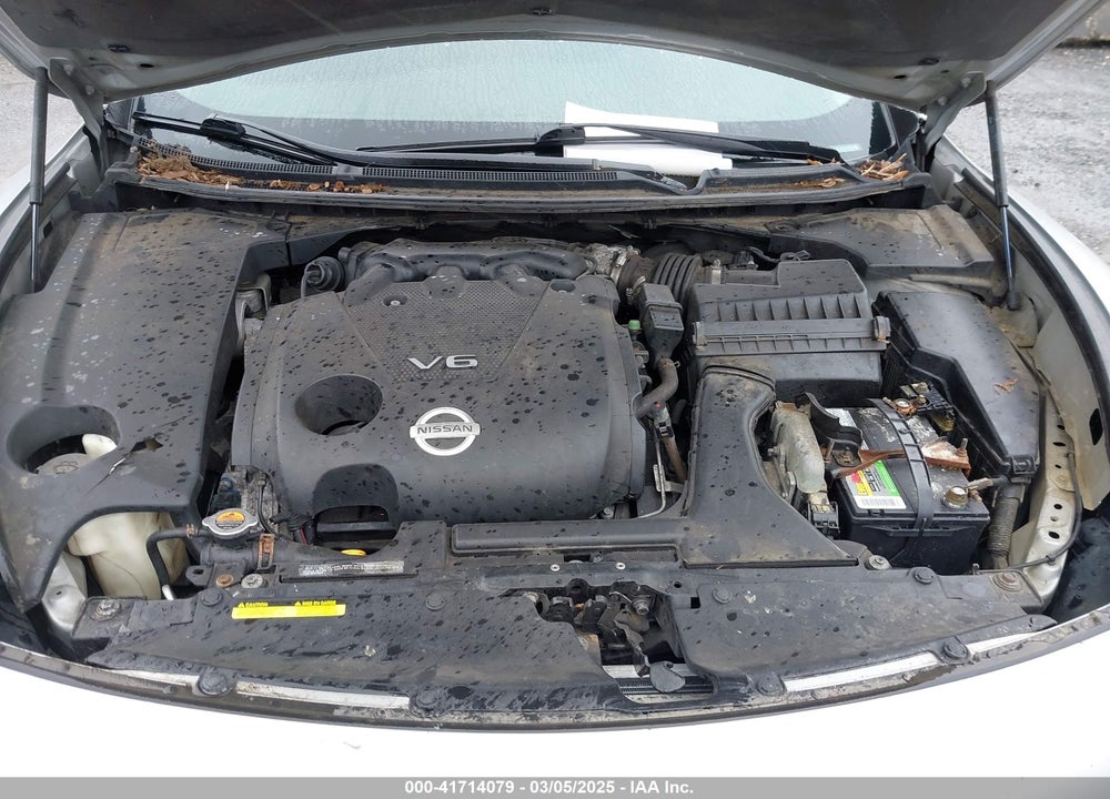 2009 NISSAN MAXIMA VIN: 1N4AA51E59C861376