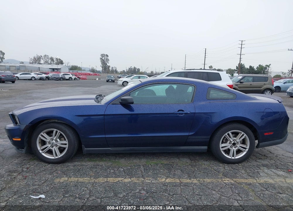 2010 FORD MUSTANG VIN: 1ZVBP8AN5A5135201