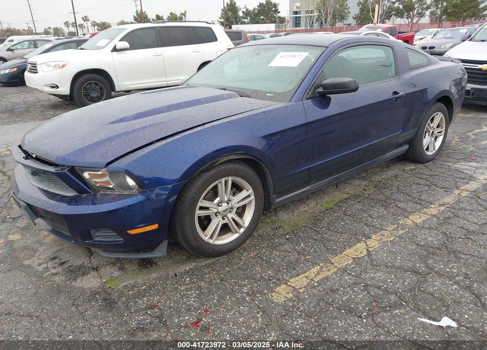 2010 FORD MUSTANG VIN: 1ZVBP8AN5A5135201