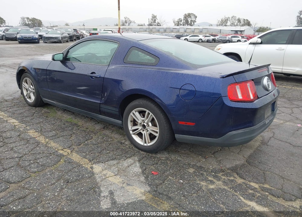 2010 FORD MUSTANG VIN: 1ZVBP8AN5A5135201