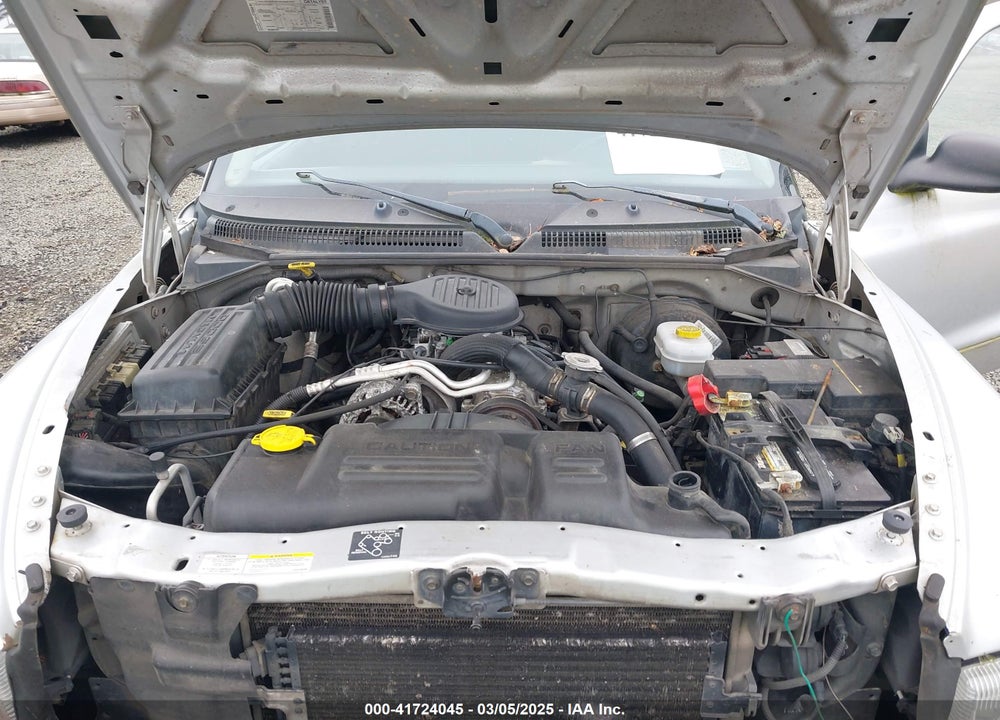 2002 DODGE DAKOTA VIN: 1B7GL32X12S598558