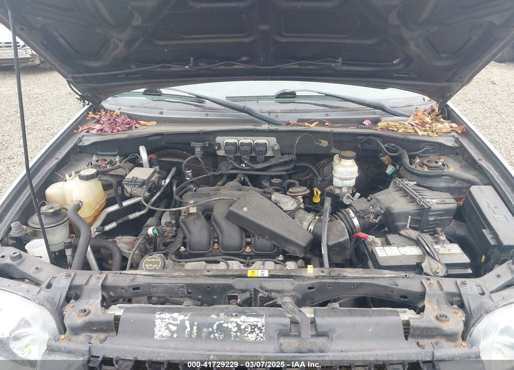 2006 FORD ESCAPE VIN: 1FMYU93136KA33552