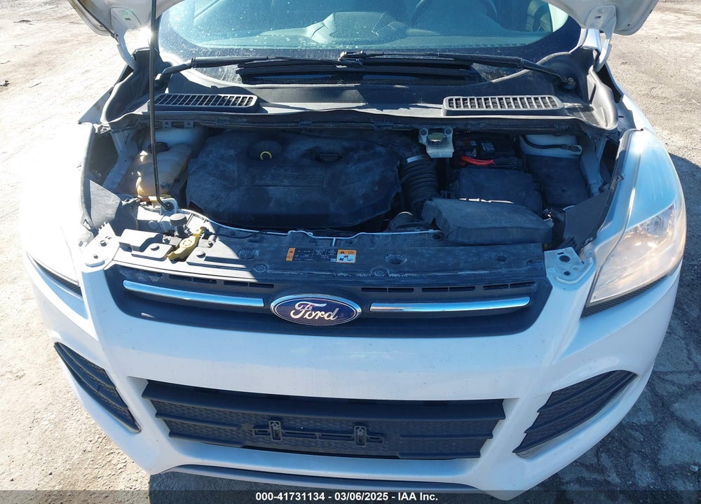 2014 FORD ESCAPE VIN: 1FMCU0G96EUC87863