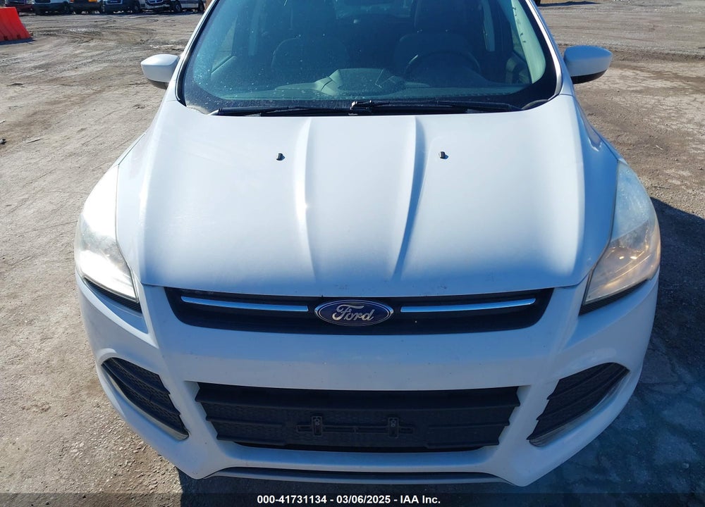 2014 FORD ESCAPE VIN: 1FMCU0G96EUC87863