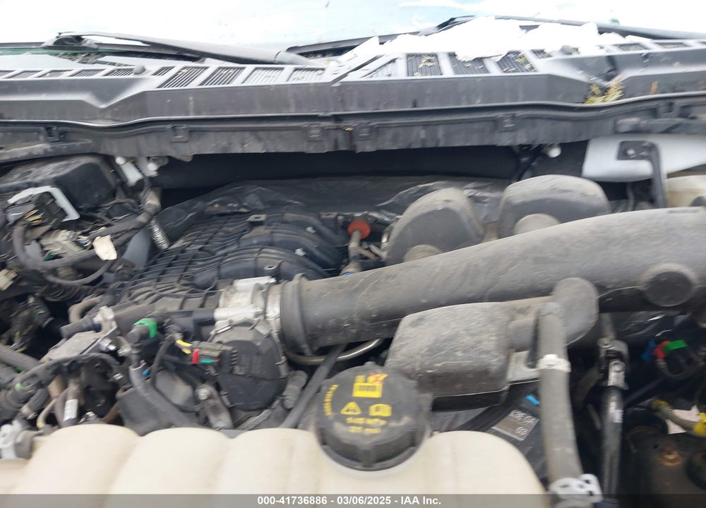 2021 FORD F-150 VIN: 1FTMF1EB1MKF01246