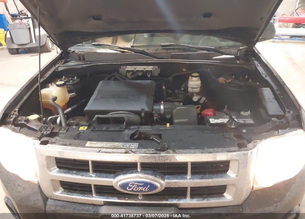 2011 FORD ESCAPE XLT VIN: 1FMCU0DG5BKA53661