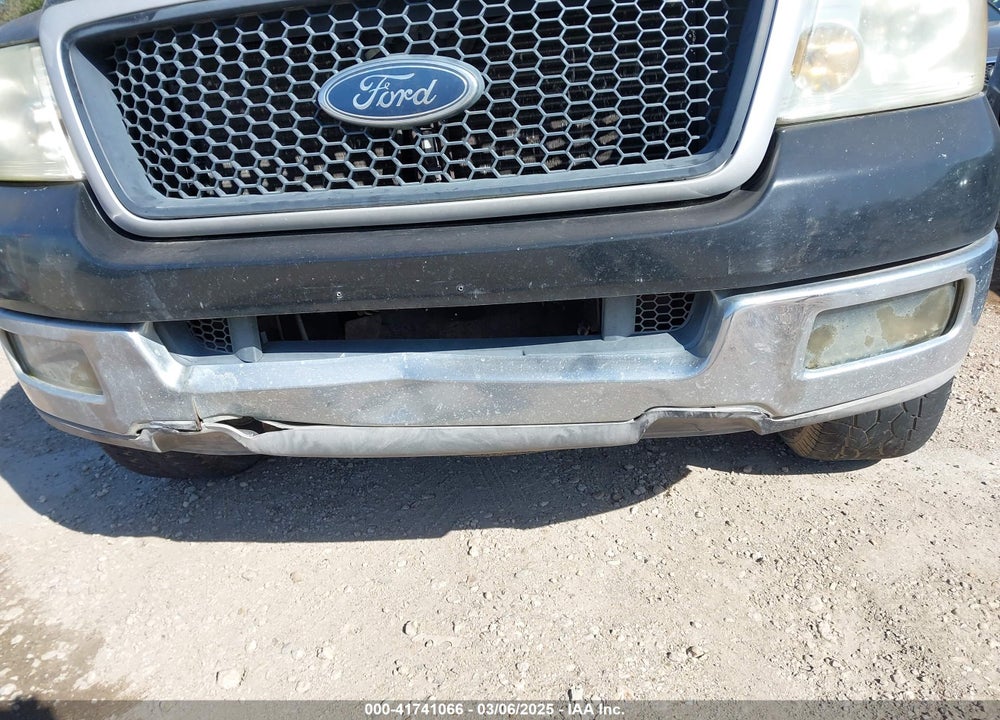 2005 FORD F-150 STX/XL/XLT VIN: 1FTRX12W75FA20387