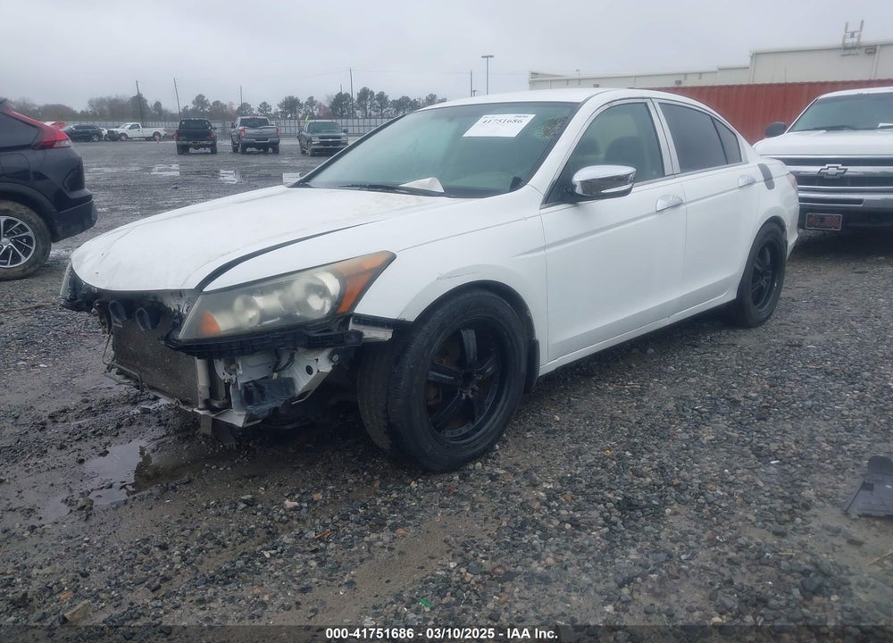 2010 HONDA ACCORD VIN: 1HGCP2F38AA159951