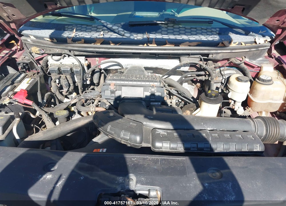 2006 FORD F-150 FX4/LARIAT/XLT VIN: 1FTPW14596FB22466