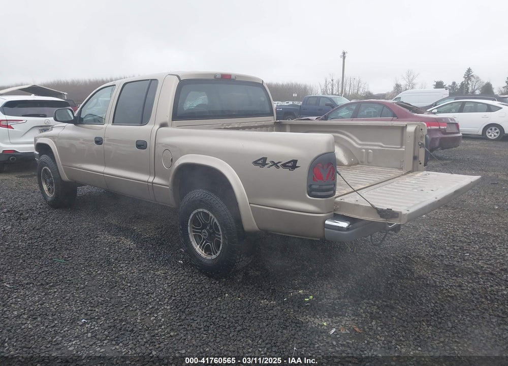 2004 DODGE DAKOTA SLT VIN: 1D7HG48NX4S596370